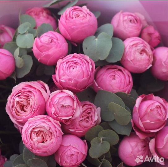 Букет из пионовидных кустовых роз и эвкалипта