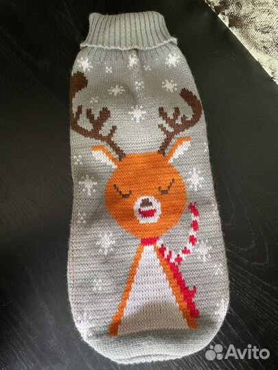 Костюм для кота