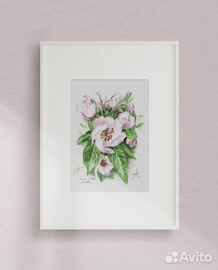 Акварельные цветы. Весна. Цветущая айва