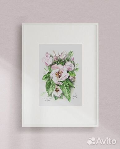 Акварельные цветы. Весна. Цветущая айва