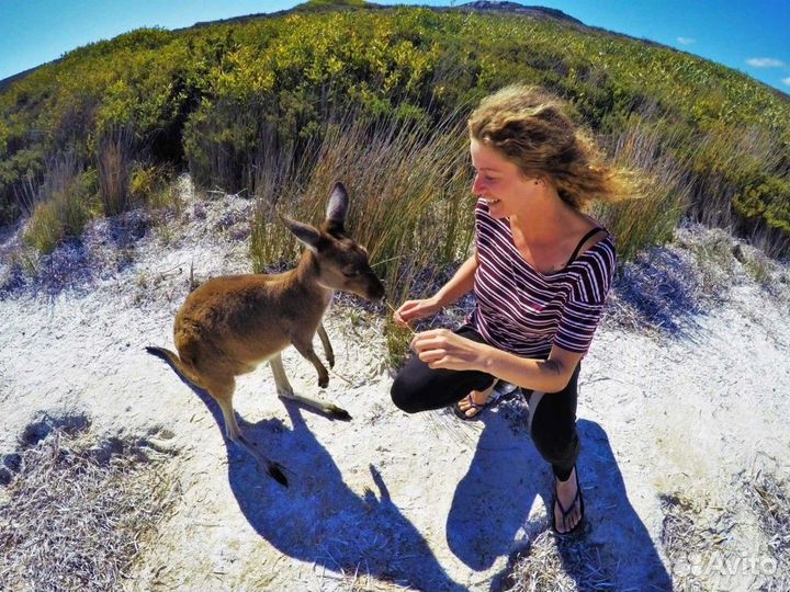 Виза в Австралию