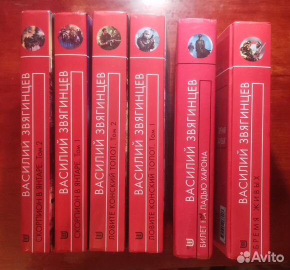 Василий Звягинцев книги