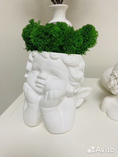 Кашпо Ангелочек + живой мох новое