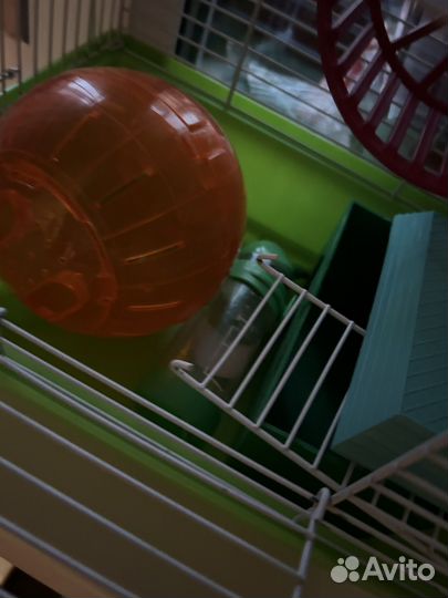 Клетка для грызунов