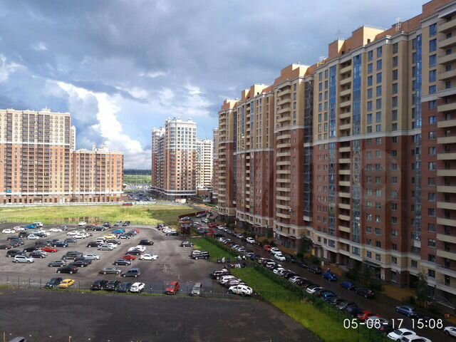 Каштановая 3. Каштановая аллея кудрово. Каштановая 3. Конский каштан восьмитычинковый. Каштановая 3.