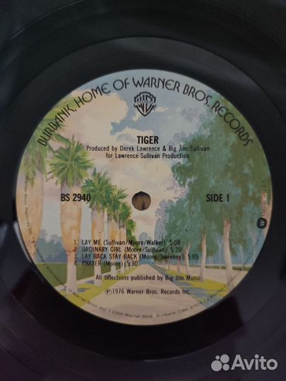 Tiger - Tiger /1976/ US