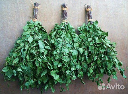 Веники дубовые, березовые, пихтовые и др