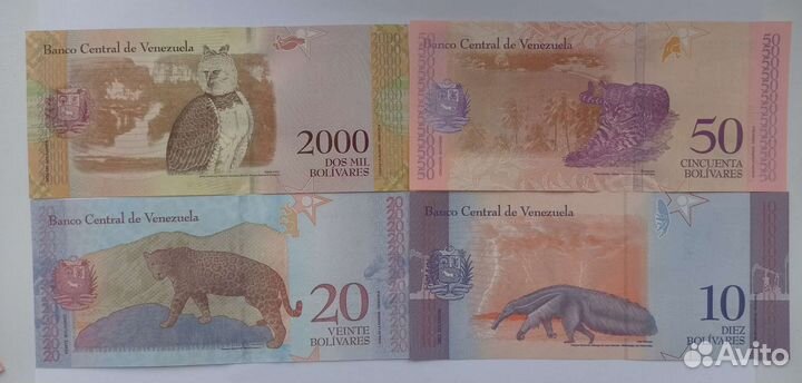Банкноты Венесуэлы