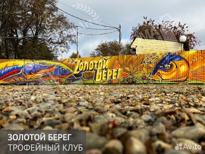 Граффити в Краснодаре/Роспись стен/Художник