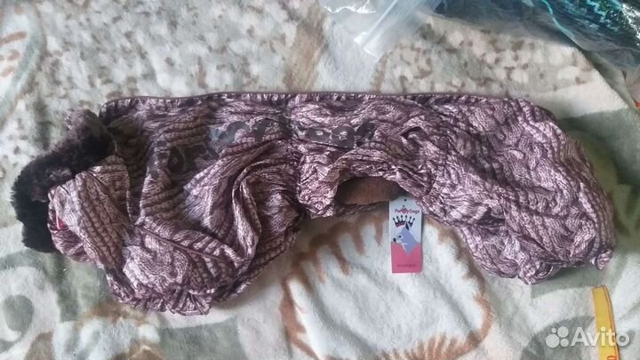 Куртки для Таксы