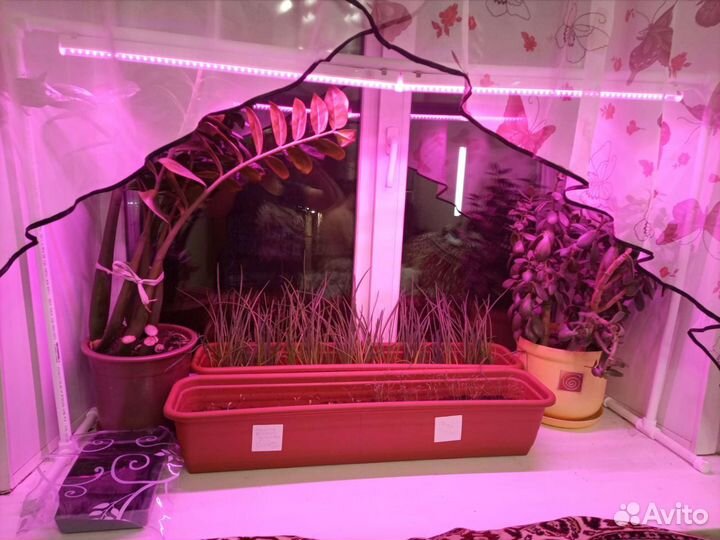 Фитолампа на подставке