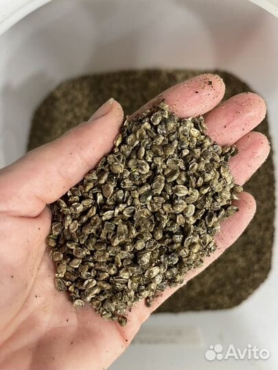 Жмых для животных, жмых льна, расторопши, рыжика