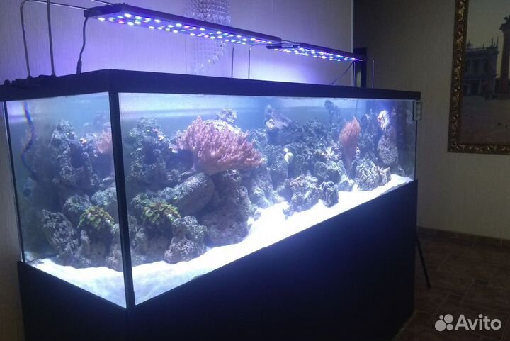 Морской аквариум 540 литров 180 x 50 x 60 см