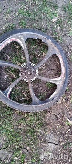 Велосипед stern