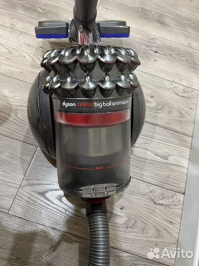 Пылесос dayson cinetic big ball AnimalPro