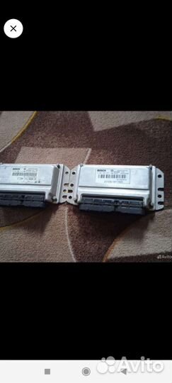 Эбу мозги на калину