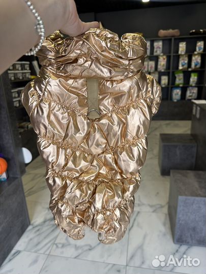 Одежда для животных оптом