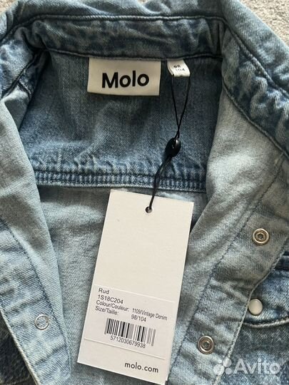 Джинсовка molo