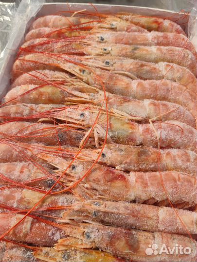 Лангустин свежемороженый.2 кг коробка