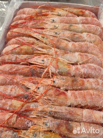Лангустин свежемороженый.2 кг коробка