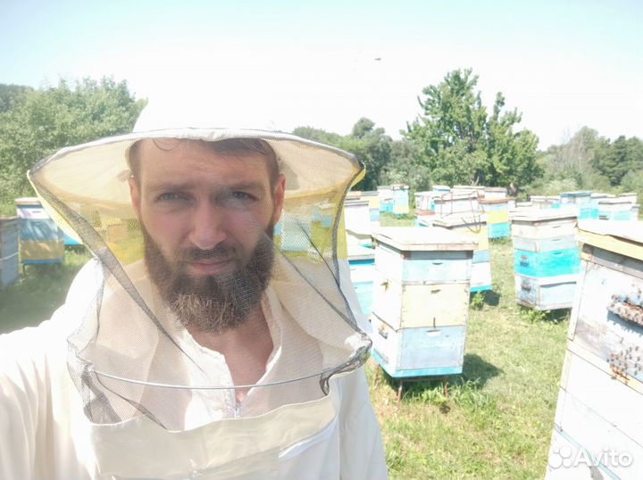 Мед цветочный, мёд, разнотравье