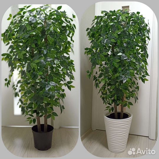 Искусственное дерево /цветок/самшит