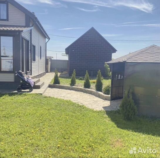 Туя для изгороди