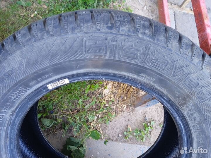 Gislaved Nord Frost 200 175/70 R14