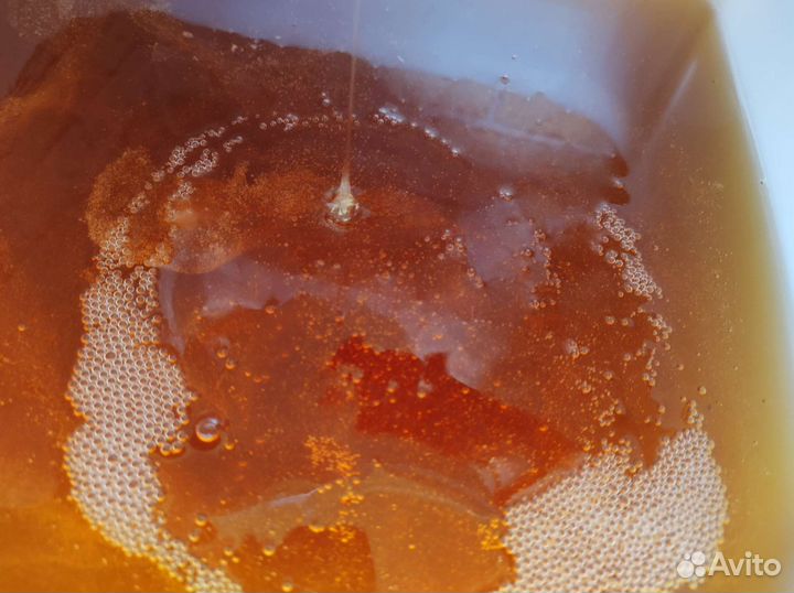 Свежий мед 2023