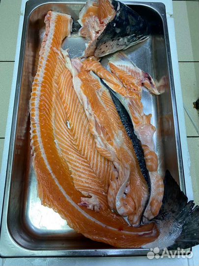 Суповой набор семги