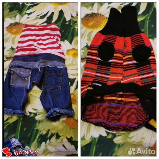 Одежда для маленьких собак