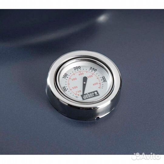 Угольный гриль Weber Master-Touch GBS синий графит