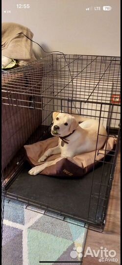 Клетка 5 для собак