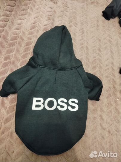 Одежда для собак