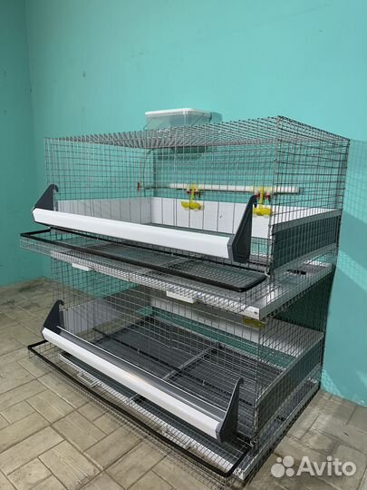 Клетки для кур несушек с яйцесборником
