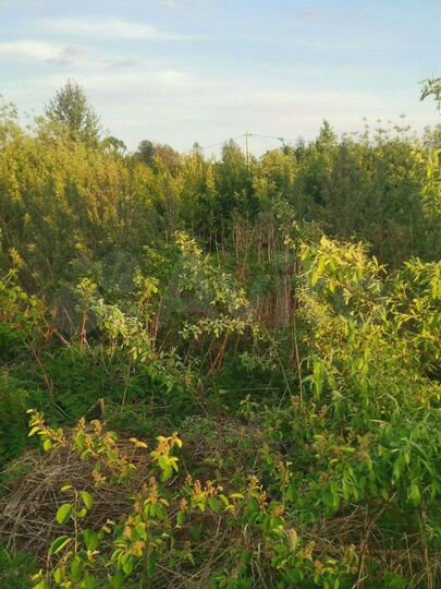 Участок 8,4 сот. (СНТ, ДНП)