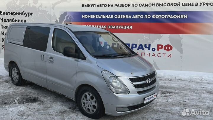 Панель задняя Hyundai Grand Starex (TQ)