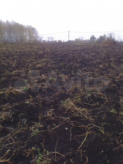 Участок 15 сот. (СНТ, ДНП)