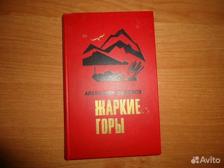 Афганистан. Наша боль и гордость