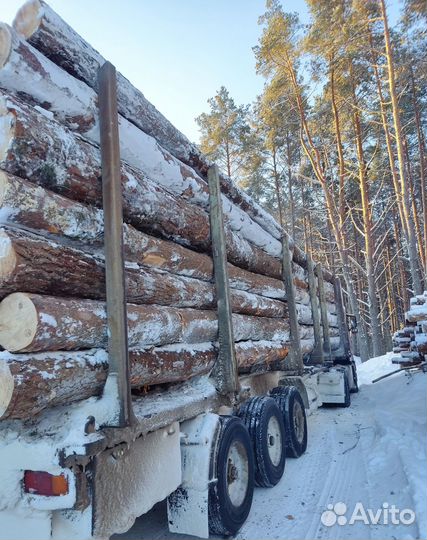 Пиловочник Деловой Круглый лес