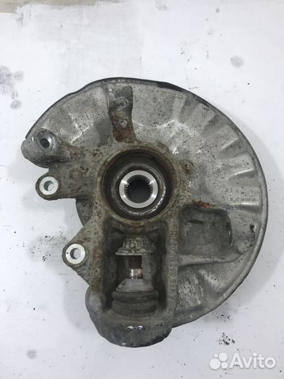 Кулак задний правый