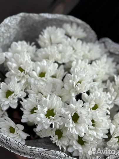 Букет из 9 кустовых хризантем