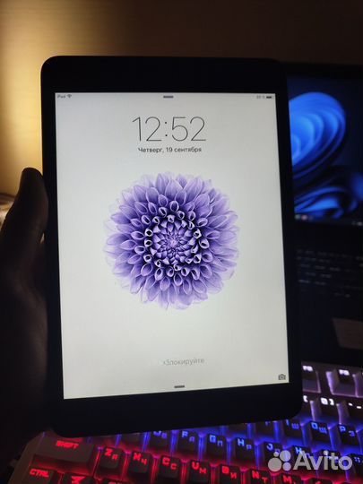 iPad mini 1