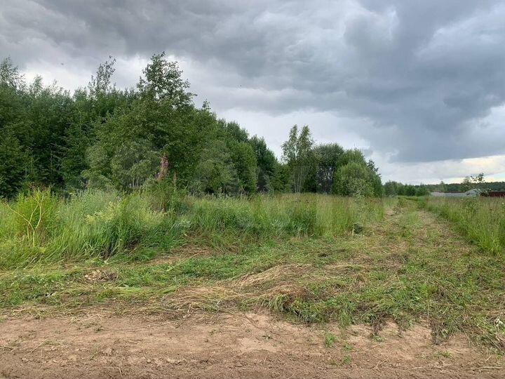 Участок 15 сот. (ИЖС)