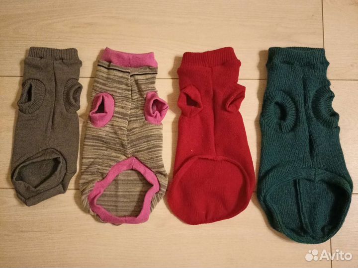 Одежда для животных