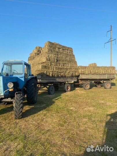 Сено луговое в тюках