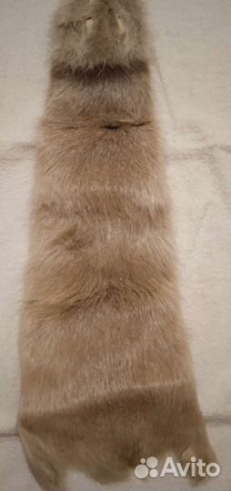 Шкура барсука