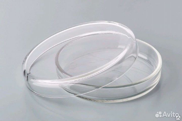 Чашка Петри стекло
