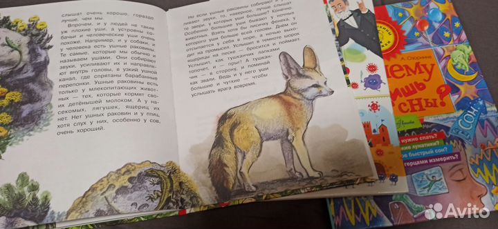 Почемучкины книжки