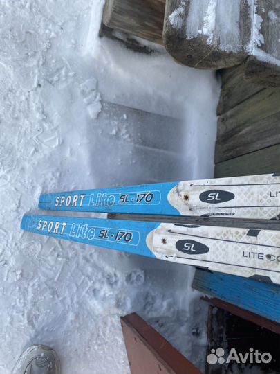 Беговые лыжи sable